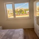 Apartman Mare *